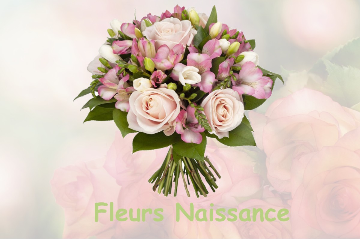 fleurs naissance LA-CROISILLE-SUR-BRIANCE
